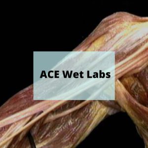 ACE Wet Labs