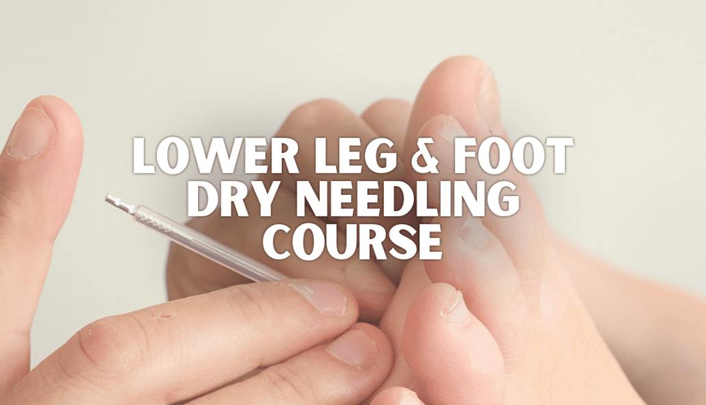 Lower Leg and Foot Dry Needling course